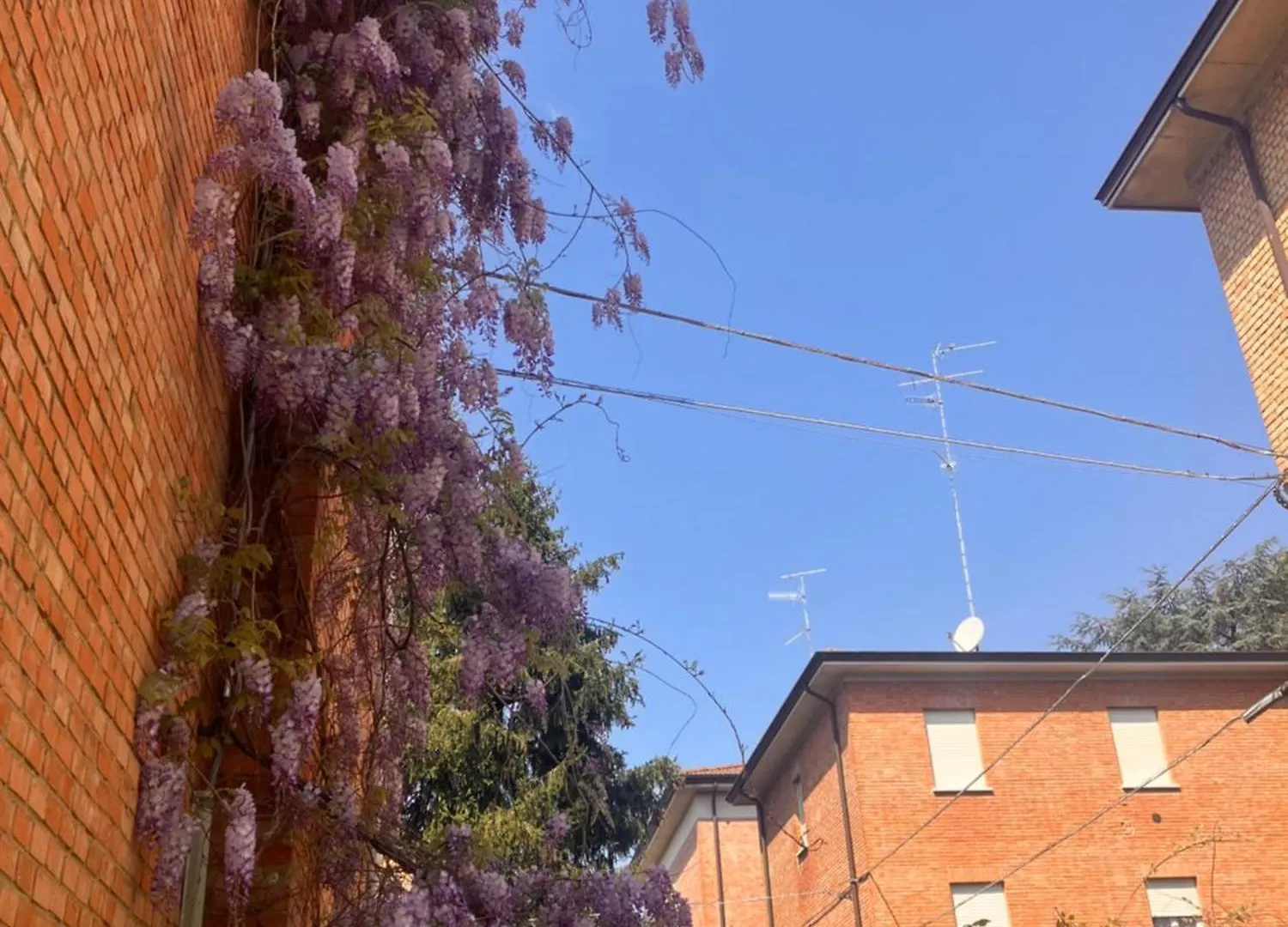 Daire Rossena Home Tranquillo Appartamento, Con Giardino, Vicino Al Centro Ed All'Ospedale Santa Maria Nuova Smn Reggio Emilia İtalya