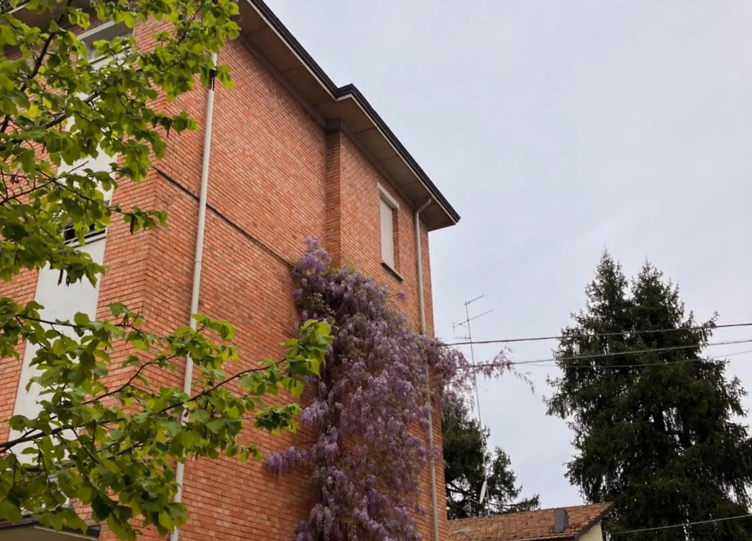 Rossena Home Tranquillo Appartamento, Con Giardino, Vicino Al Centro Ed All'Ospedale Santa Maria Nuova Smn ريجّو إيميليا 0*,  إيطاليا