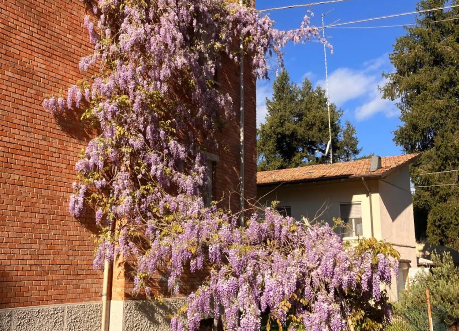 Rossena Home Tranquillo Appartamento, Con Giardino, Vicino Al Centro Ed All'Ospedale Santa Maria Nuova Smn ريجّو إيميليا شقة