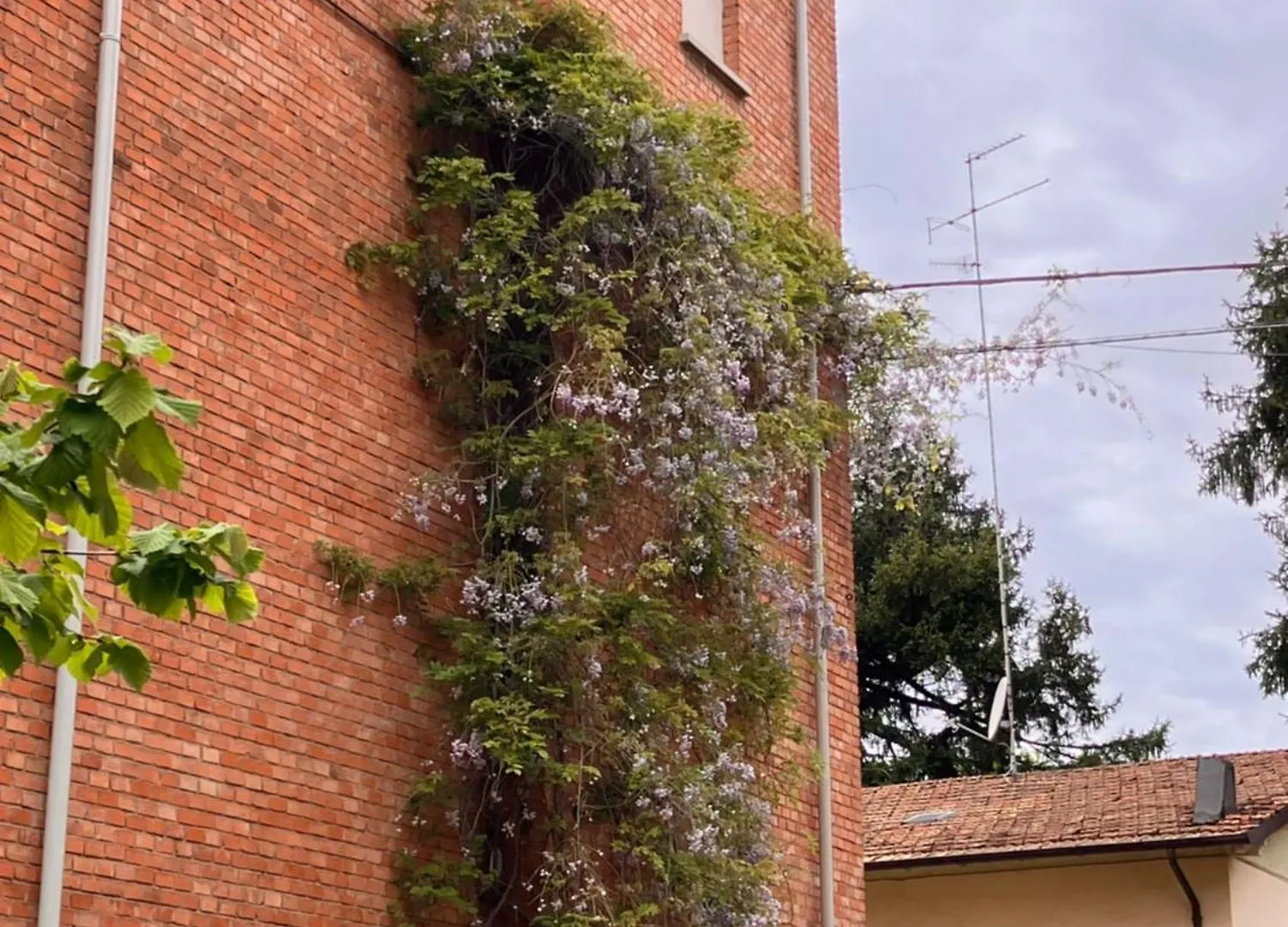 شقة Rossena Home Tranquillo Appartamento, Con Giardino, Vicino Al Centro Ed All'Ospedale Santa Maria Nuova Smn ريجّو إيميليا إيطاليا